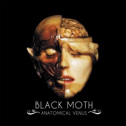 Anatomical Venus - Black Moth