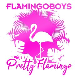 Pretty Flamingo - Flamingoboys
