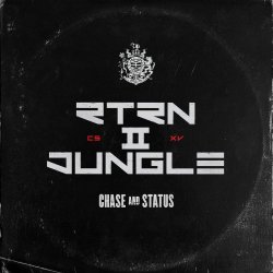 Return II Jungle - Chase And Status