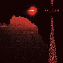 Nighttime Stories - Pelican