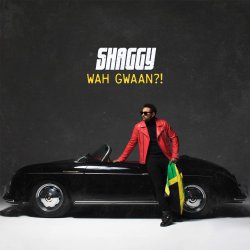 Wah Gwaan?! - Shaggy