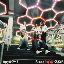 Foolish Loving Spaces - Blossoms