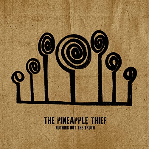 Noting But The Truth - Pineapple Thief