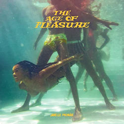 The Age Of Pleasure - Janelle Monae