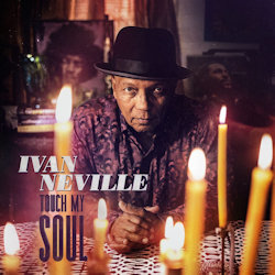 Touch My Soul - Ivan Neville