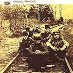Animal Tracks - Animals