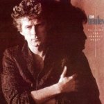 Building The Perfect Beast - Don Henley