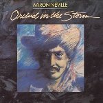 Orchid In The Storm - Aaron Neville