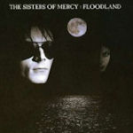 Flooland - Sisters Of Mercy