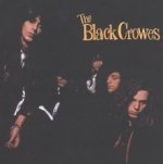 Shake Your Money Maker - Black Crowes