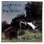 Ghost Of A Dog - {Edie Brickell} + New Bohemians