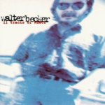 11 Tracks Of Whack - Walter Becker