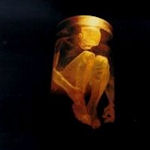 Nothing Safe - Best Of The Box - Alice In Chains