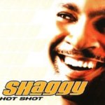 Hot Shot - Shaggy