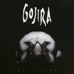 Terra Incognita - Gojira