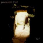137 - Pineapple Thief