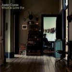 What Is Love For - Justin Currie