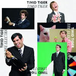 Timid Tiger And The Electric Island - Timid Tiger