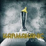 In A Perfect World - Karmakanic