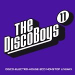 The Disco Boys 11 - Sampler