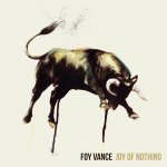 The Joy Of Nothing - Foy Vance