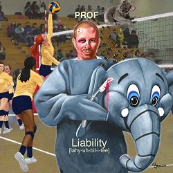 Liability - Prof