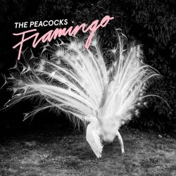 Flamingo - Peacocks