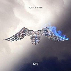 Icarus Falls - Zayn