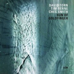 Sun Of Goldfinger - David Torn + Tim Berne + Ches Smith