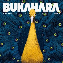 Canaries In A Coal Mine - Bukahara