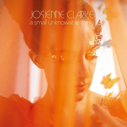 A Small Unknowable Thing - Josienne Clarke