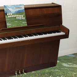 The Sophtware Slump? On A Wooden Piano - Grandaddy