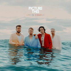 Life In Color - Picture This
