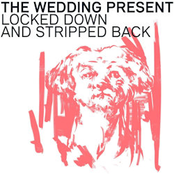 Locked Down And Stripped Back - Wedding Present