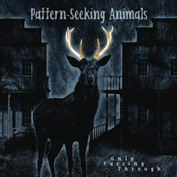 Only Passing Through - Pattern-Seeking Animals