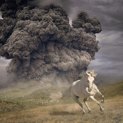 Year Of The Dark Horse - White Buffalo