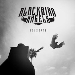 Solsorte - Blackbird Angels