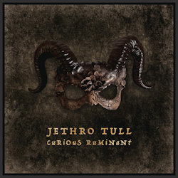 Curious Ruminant - Jethro Tull