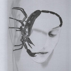 Touch. - Tortoise