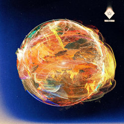 Solaris - Woods Of Birnam