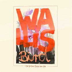 I Can See Your House From Here. - Wallis Bird