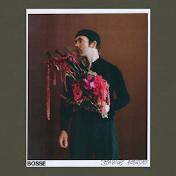 Stabile Poesie - Bosse