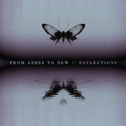 Reflections. - From Ashes To New