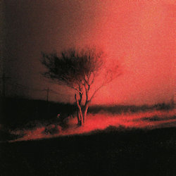 Piss In The Wind - Joji