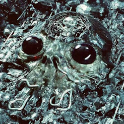 Alien Metal. - King Gizzard + the Lizard Wizard