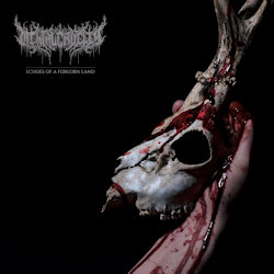 Echoes Of A Forlorn Land. - Mental Cruelty