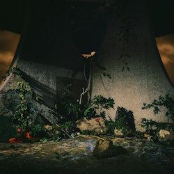 The Plot In You. - Plot In You