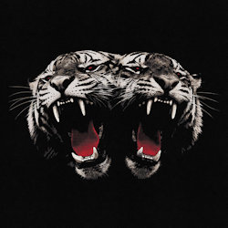 Dead Company. - Royal Blood