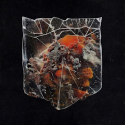 Death And Connection - Shields