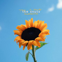 Joy In Short Moments. - Snuts
